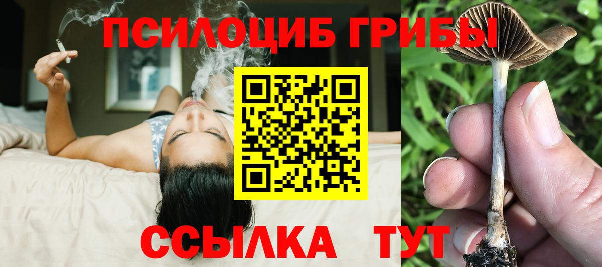 Минусинск  Галлюциногенные грибы Psilocybine cubensis  закладка  Вход с VPN 